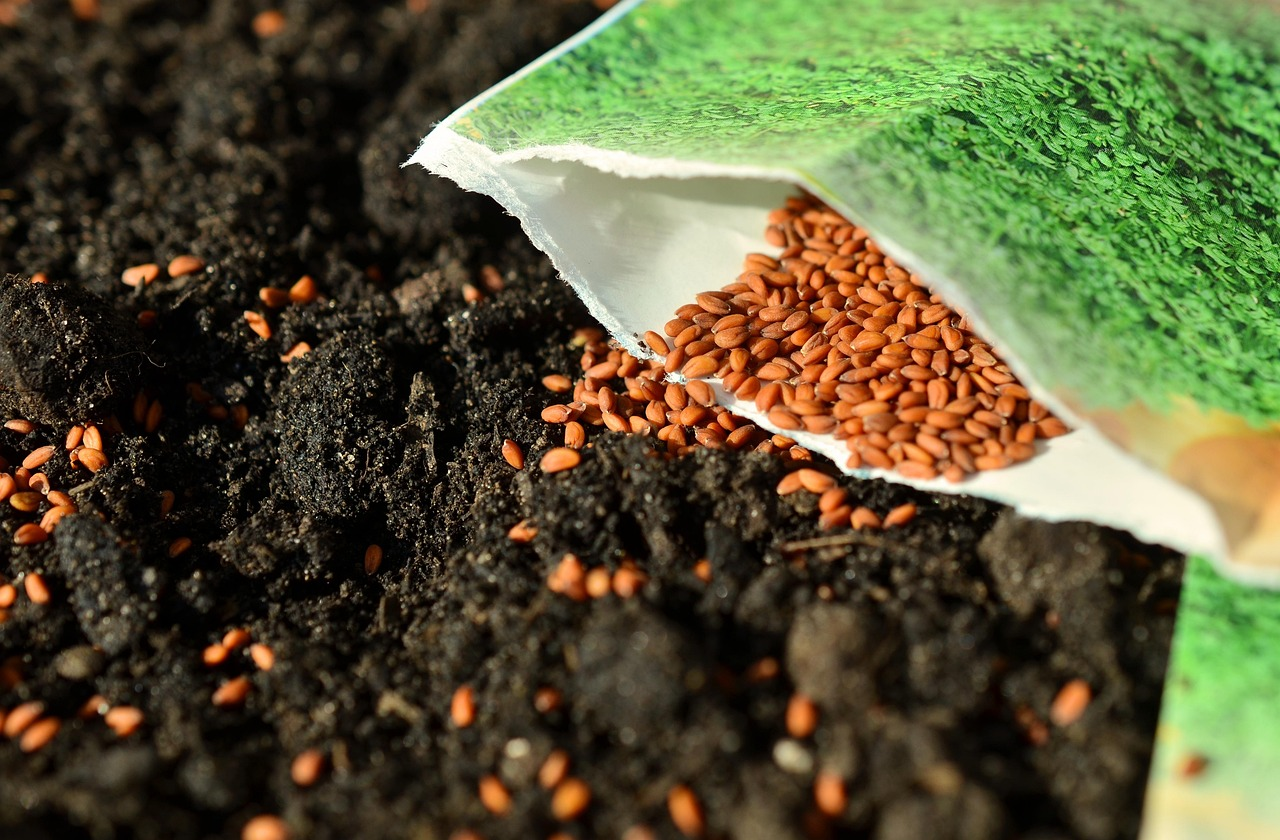 Organize Your Seeds in 3 Easy Steps